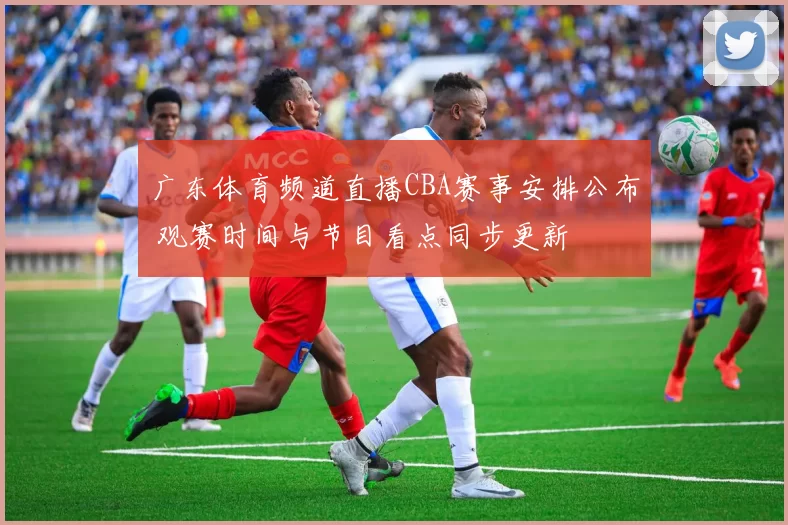 广东体育频道直播CBA赛事安排公布 观赛时间与节目看点同步更新