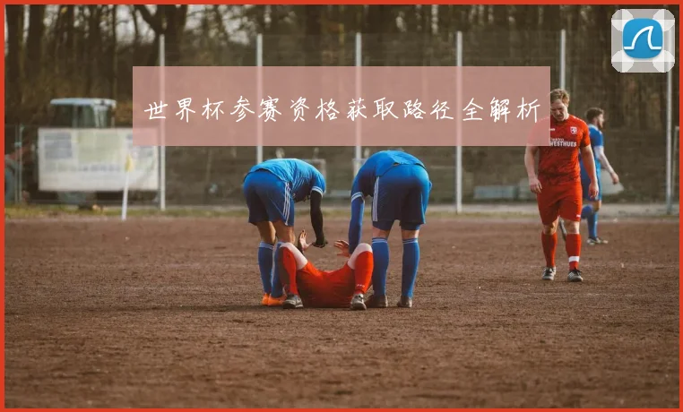 世界杯参赛资格获取路径全解析